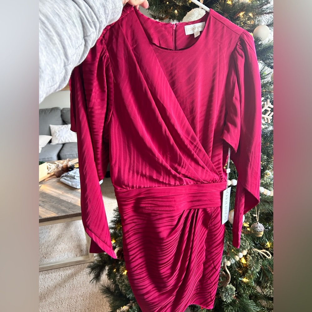 Ronny Kobo Shanaya dress NEW WITH TAGS